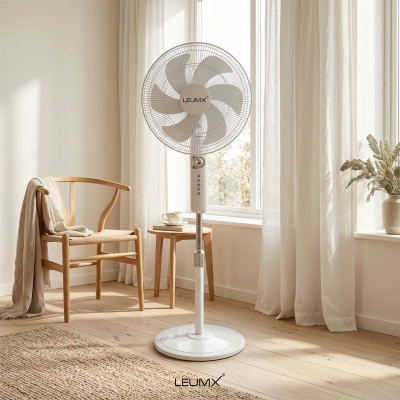 Electric Fan