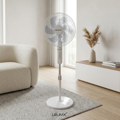 Electric Fan